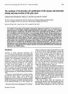 The aconitase of Escherichia cok purification of the