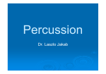 Percussion [Kompatibilitási mód]