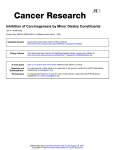 Inhibition of Carcinogenesis by Minor Dietary