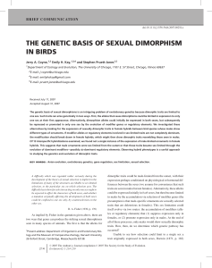 the genetic basis of sexual dimorphism in birds