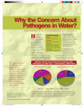 Why the Concern About Pathogens in Water?