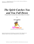The Spirit Catches You and You Fall Down