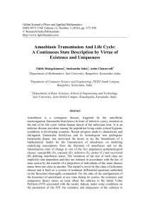 Amoebiasis Transmission And Life Cycle: A Continuous State