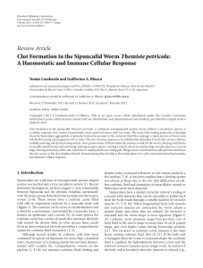 Clot Formation in the Sipunculid Worm Themiste petricola: A