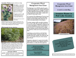 Invasive Plants in Red Lake County