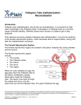 Fallopian Tube Catheterization - Recanalization