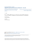 Use of Small Groups in Instructional Evaluation