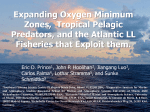 Expanding Oxygen Minimum Zones, Tropical Pelagic Predators, and