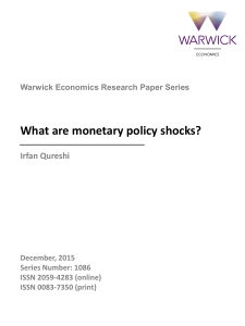 What are monetary policy shocks?