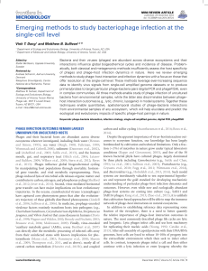 Emerging methods to study bacteriophage