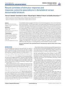 Neural correlates of stimulus–response and response–outcome