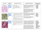Human Tissue Information Document