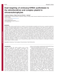 Dual targeting of aminoacyl-tRNA synthetases to the mitochondrion