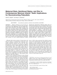 Maternal diets, nutritional status, and zinc in contemporary Mexican