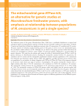 The mitochondrial gene ATPase 6/8, an alternative for genetic