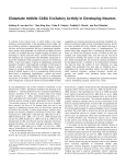 Glutamate Inhibits GABA Excitatory Activity in