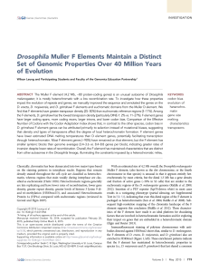 Drosophila Muller F Elements Maintain a Distinct Set of Genomic