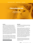 Chlamydophila felis - Veterinary Team Brief
