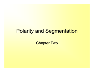 Polarity and Segmentation