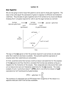 Lecture 16 Gene Regulation