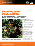 Knowing your Phytophthora - Grunwald Lab