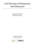 1 Cell Division in Prokaryotes and Eukaryotes
