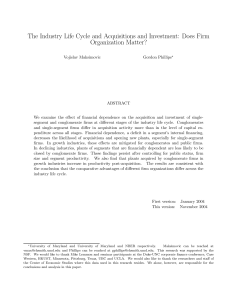 The Industry Life Cycle and Acquisitions and Investment: Does Firm