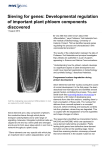 Sieving for genes: Developmental regulation of important