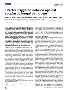 Effector-triggered defence against apoplastic fungal pathogens