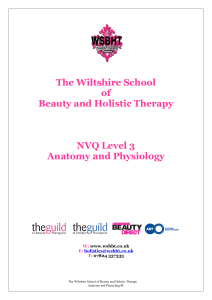 The Wiltshire School of Beauty and Holistic Therapy NVQ Level 3