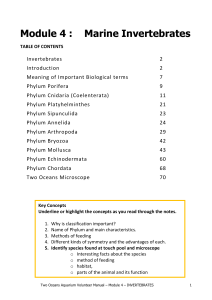 Module 4 : Marine Invertebrates