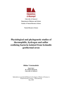 Physiological and phylogenetic studies of thermophilic