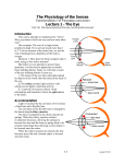 The Physiology of the Senses Lecture 1