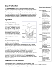 Digestive System Ingestion Digestion in the Stomach Words to Know