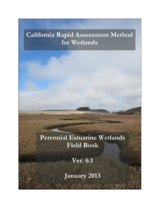 California Rapid Assessment Method for Wetlands Perennial