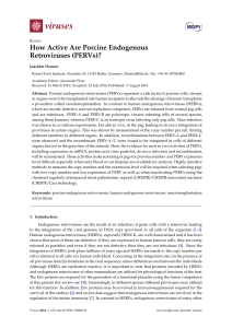 How Active Are Porcine Endogenous Retroviruses (PERVs)?