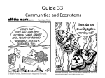 Guide 33