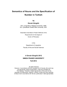 Semantics of Nouns and the Specification of