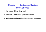 Chapter41 Hormones Notes [Compatibility Mode]