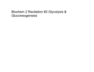 Biochem 2 Recitation #2 Spr 20152102105.pptx