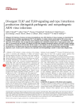 Divergent TLR7 and TLR9 signaling and type I interferon production