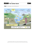 Nutrient_Cycles_WSs