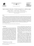 Spatio-temporal dynamics of depth propagation on uniform region