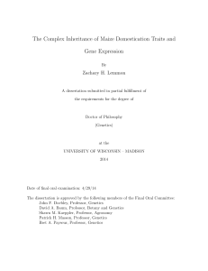 The Complex Inheritance of Maize Domestication Traits and Gene