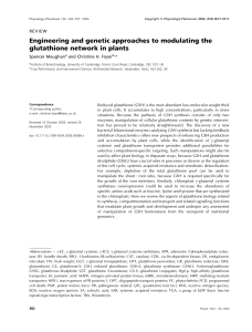 Engineering and genetic approaches to modulating the