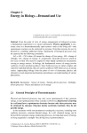 Sample pages 1 PDF