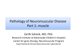 Pathology of Neuromuscular Disease Part 1: muscle