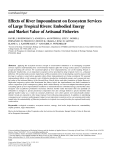 Effects of River Impoundment on Ecosystem Services