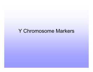 Y Chromosome Markers