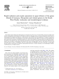 Rapid radiation and cryptic speciation in squat lobsters of the genus